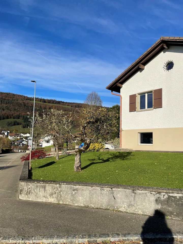 Schönes 7-Zimmer-Einfamilienhaus in Montsevelier – Foto 6 von 30