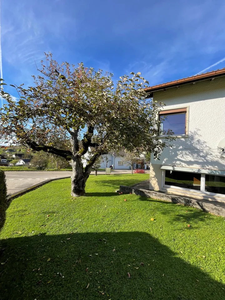 Schönes 7-Zimmer-Einfamilienhaus in Montsevelier – Foto 8 von 30