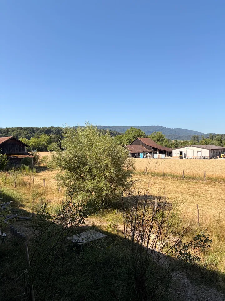 Wohnung W18 ¦ Wohneigentum auf Zeit (WAZ) ¦ Sommeraktion bis 15.09.2026 – Foto 16 von 18