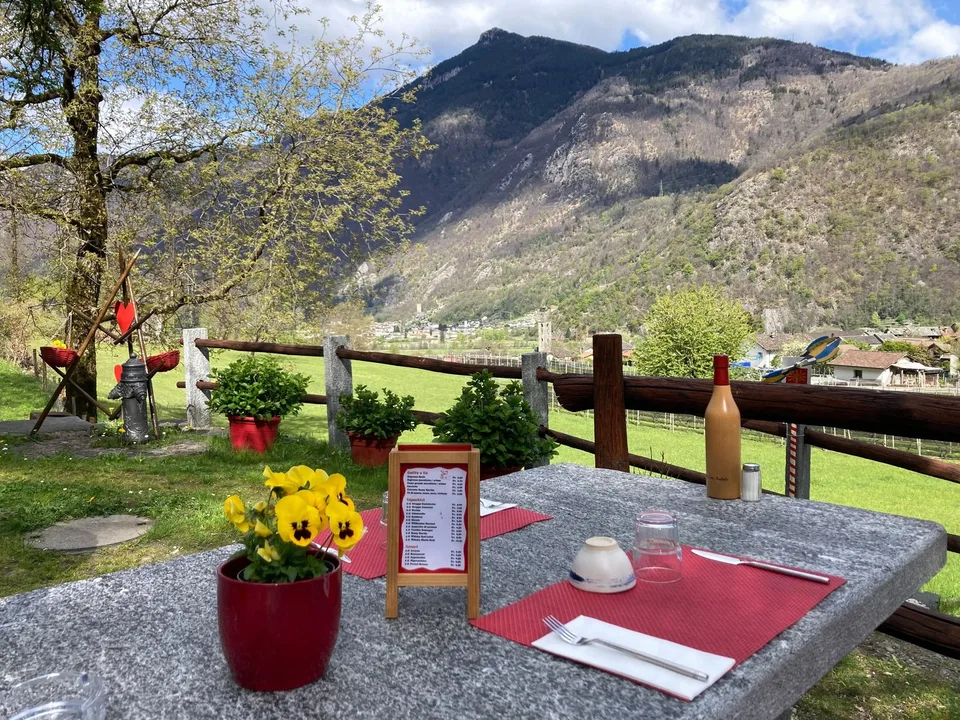 Grotto with 4 rooms, rustic annex and large green area in Roveredo (GR)