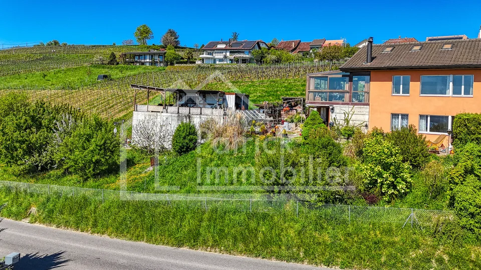 Maison mitoyenne avec vue imprenable sur le lac de Morat et fort potentiel constructible