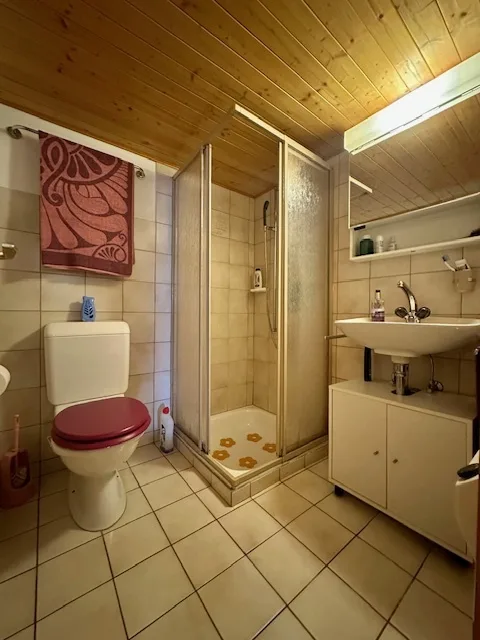 Möbliertes 3-Zimmer-Rustico im historischen Corippo (Verzascatal) – foto 10 di 13
