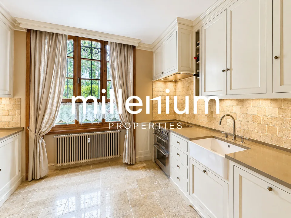 Appartamento duplex di charme al pianterreno nel Château Barillet --Satigny