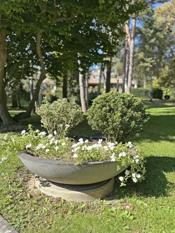 Triplex 6 Zimmer in Conches