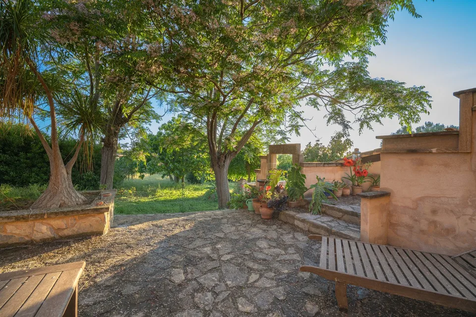 Finca da sogno con vista panoramica vicino a Manacor – foto 10 di 17