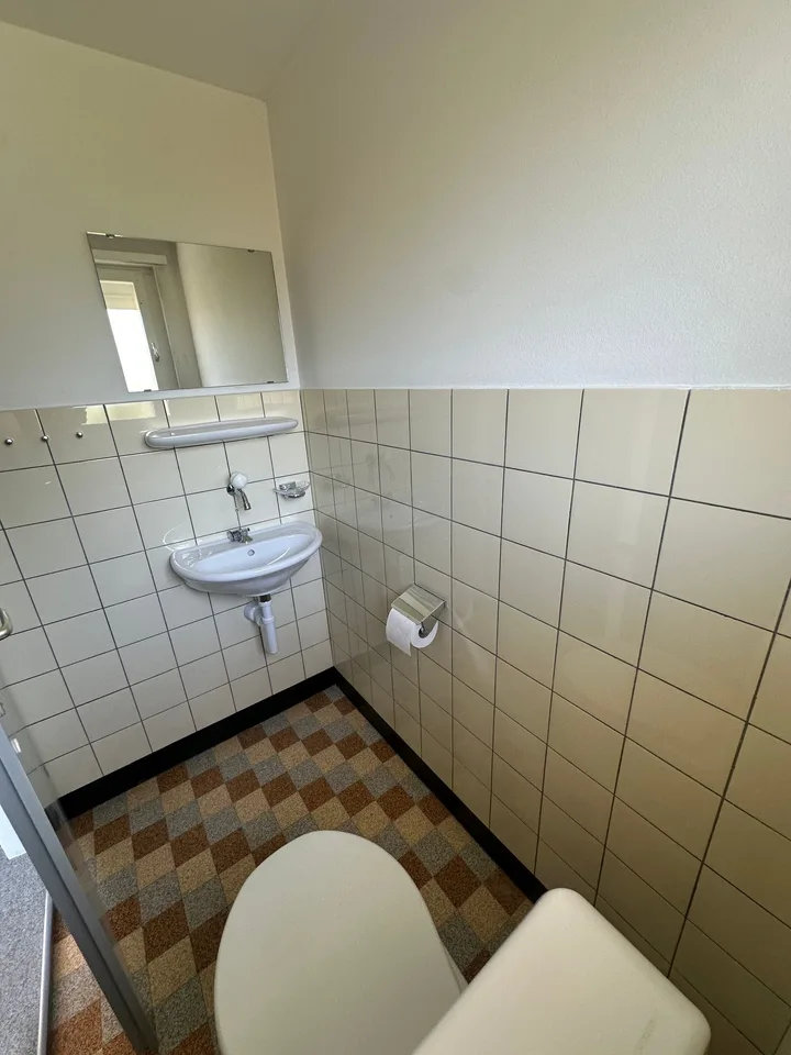 Doppeleinfamilienhaus in Hofstetten-Flüh  Renovationsobjekt an guter Lage – foto 30 di 30