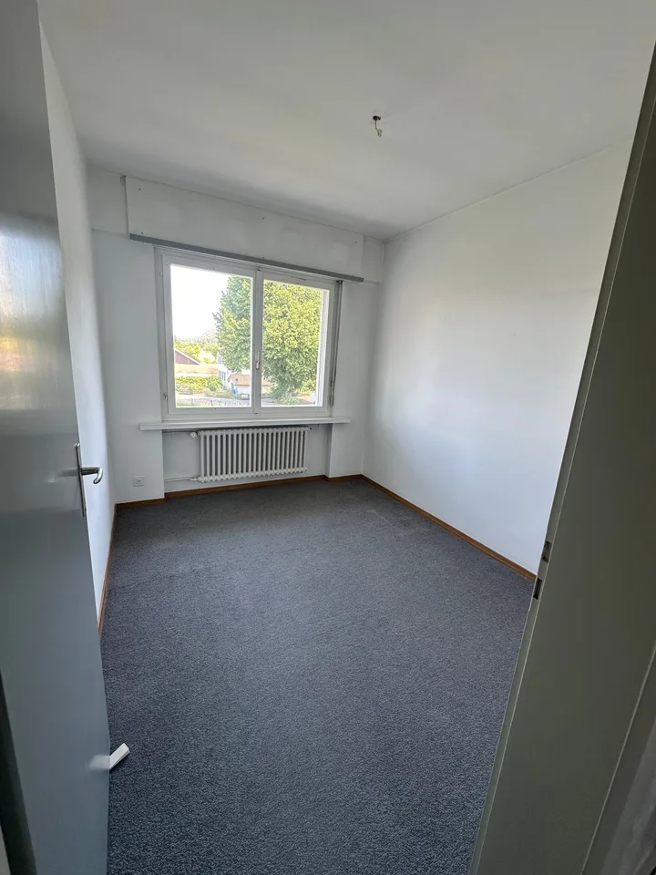 Doppeleinfamilienhaus in Hofstetten-Flüh  Renovationsobjekt an guter Lage – foto 29 di 30