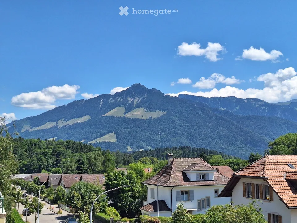 Appartamento 3.5 locali con vista eccezionale nel centro