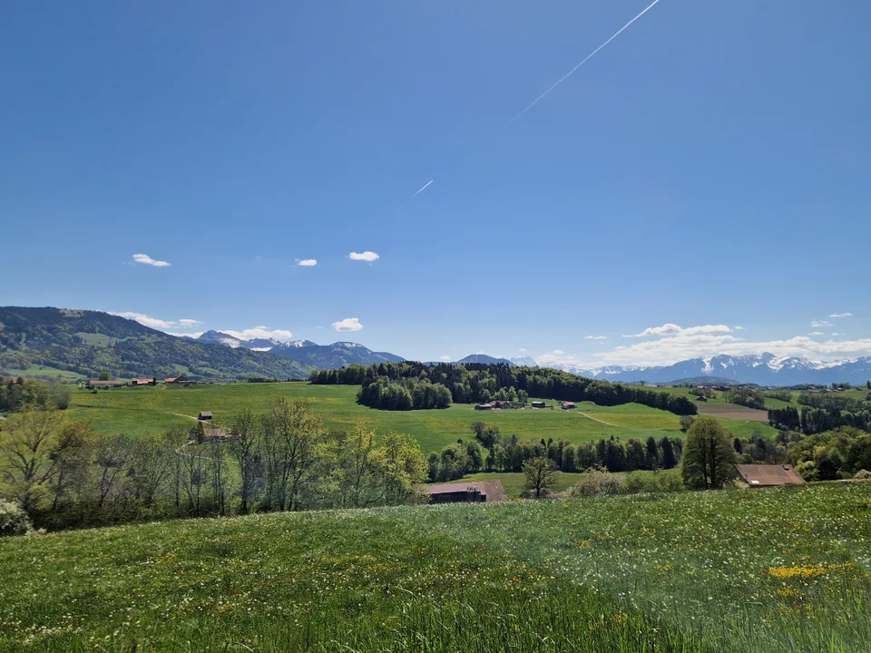 Opportunité : villas neuves entre Châtel-St-Denis et Bulle