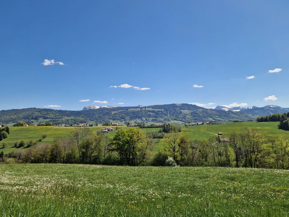 Opportunità: ville nuove tra Châtel-St-Denis e Bulle