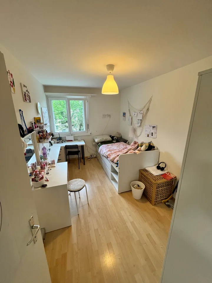 Charmante 4-Zimmer-Wohnung mit Balkon in Wetzikon