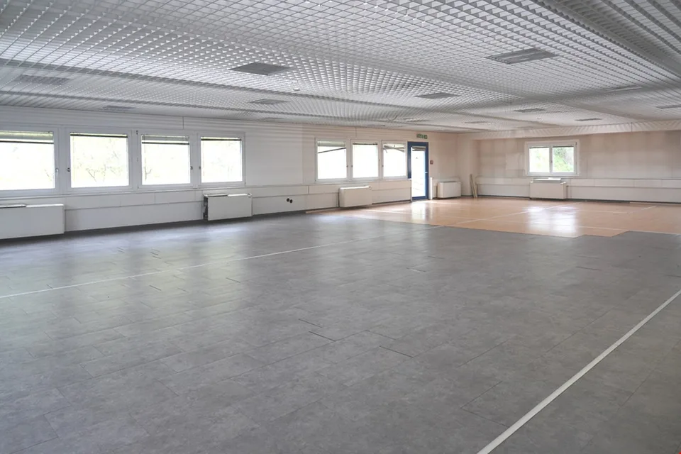 Manno - Büro-Labor zu vermieten - 810 m² – Foto 6 von 6