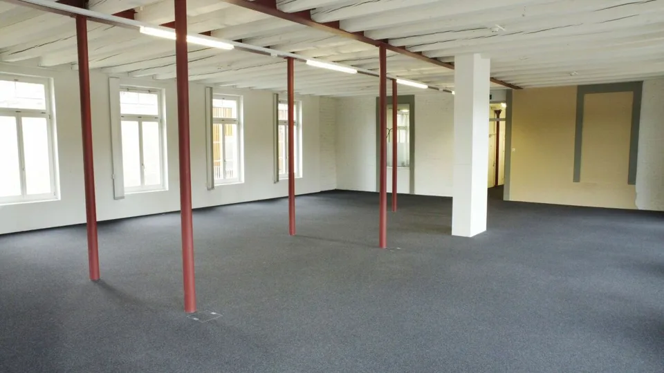 Office and commercial spaces, Alpina Areal – photo 8 of 11