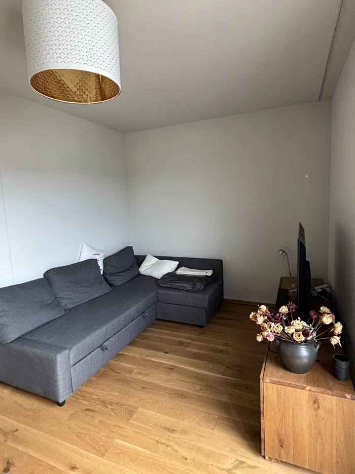 APPARTEMENT 3½ PIÈCES À BIEL/BIENNE (BE), MEUBLÉ, DURÉE DÉTERMINÉE – Foto 3 von 18
