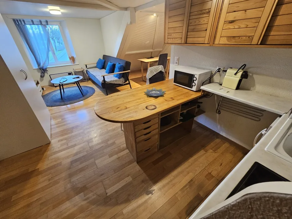 🏡Modernes 3.5-Zimmer-Wohnung mit Möbeln - Langnau am Albis Ideal für Unternehmen und Familien