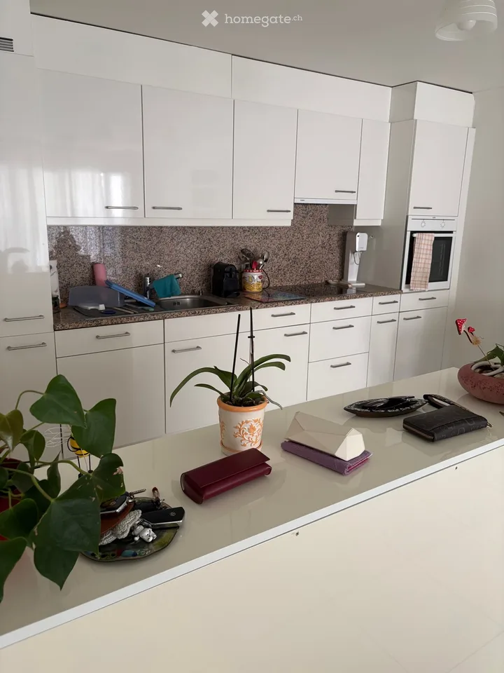 Looking for a tenant for a large 2.5-room apartment