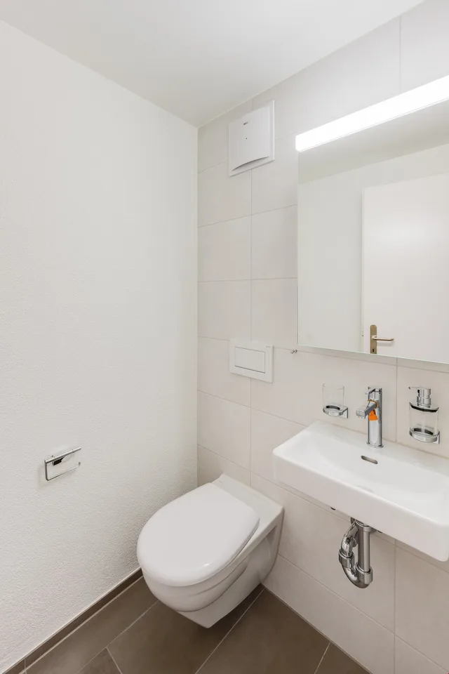 frisch sanierte 4.5-Zimmerwohnung