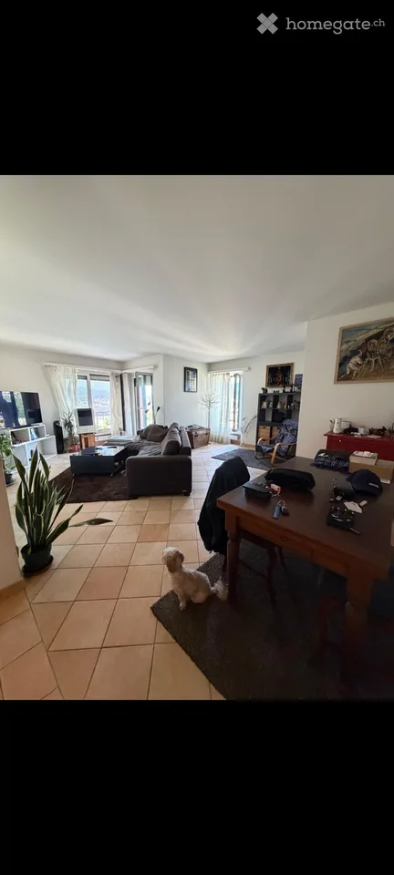 Schönes 3.5-Zimmer-Wohnung in Pregassona mit Schwimmbad