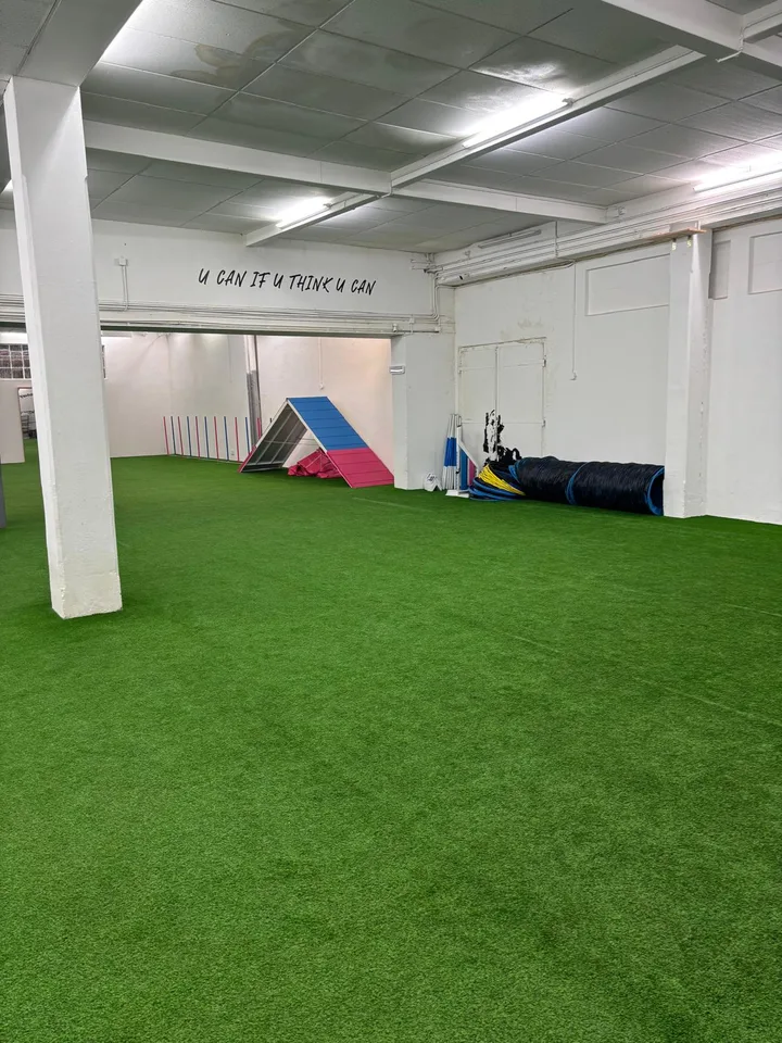 Espace commercial polyvalent à louer à Sirnach