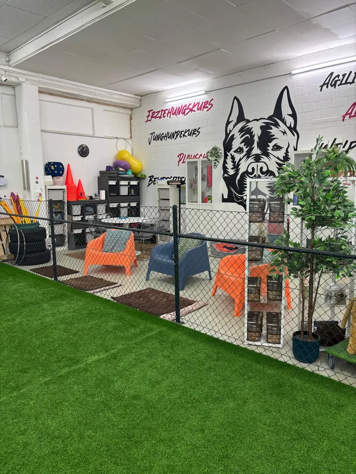 Espace commercial polyvalent à louer à Sirnach