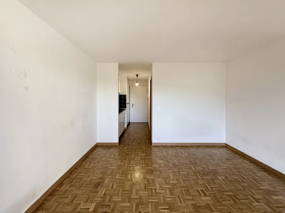 HABITAT ÉPHÉMÈRE AU LIEBEFELD - limité jusqu'au 30.06.2027
