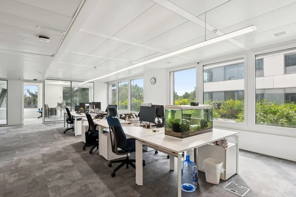 Surface de bureaux à louer de 266 m2 à Lausanne