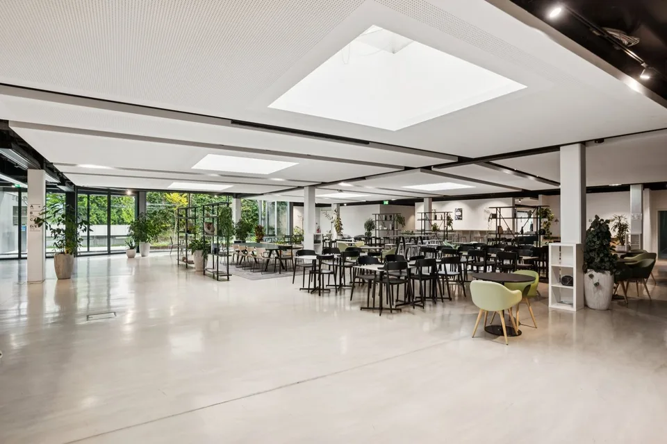 Superficie di uffici in affitto di 266 m2 a Losanna – foto 7 di 9