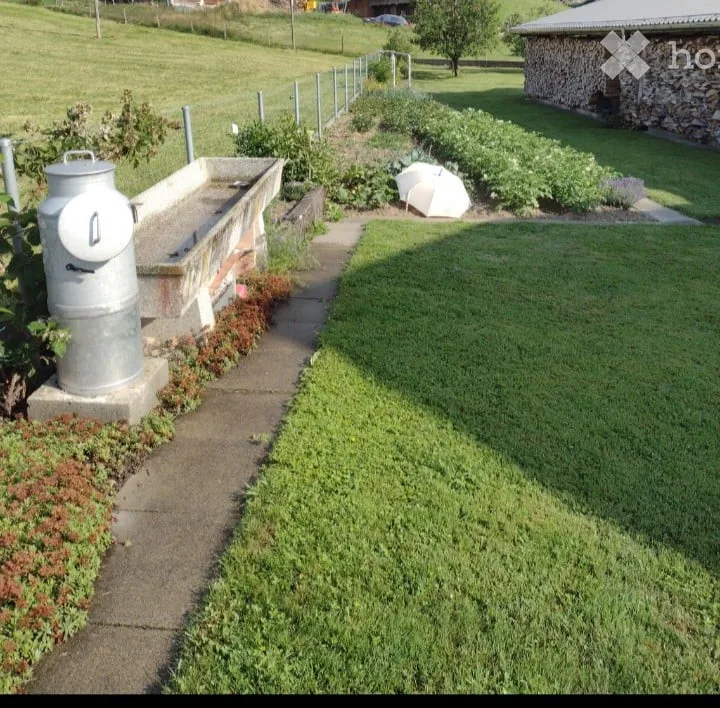 Casa condivisa per uomini nella natura
