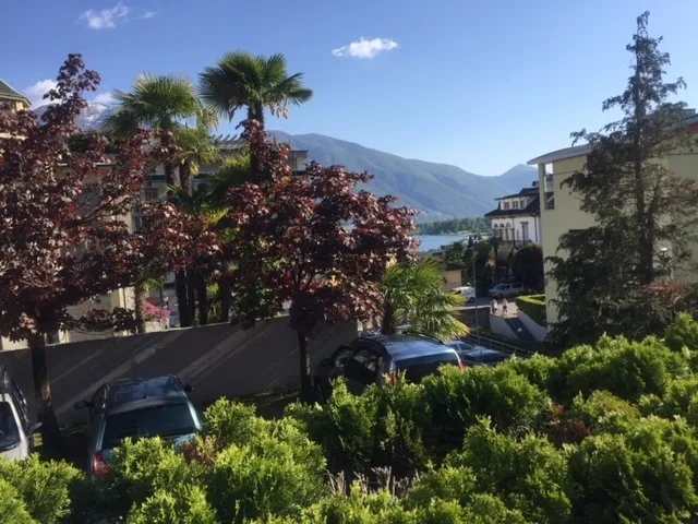 Affittasi appartamento di 2.5 locali con vista lago