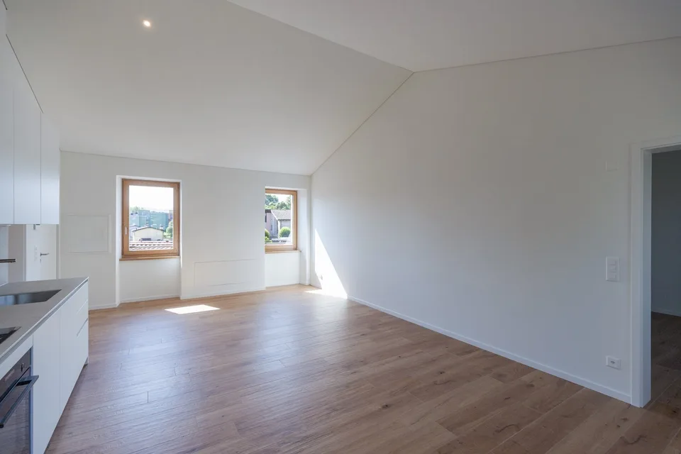 Ancienne ferme complètement rénovée, en première location avec magnifique vue ouverte