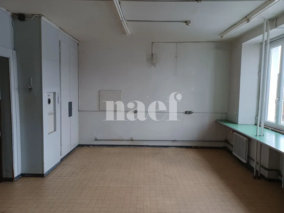 Lokal mit viel Licht von etwa 200m2