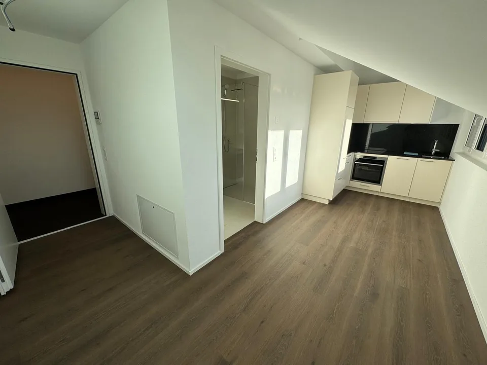 1-Zimmerwohnung im Grünen mit modernem Innenausbau