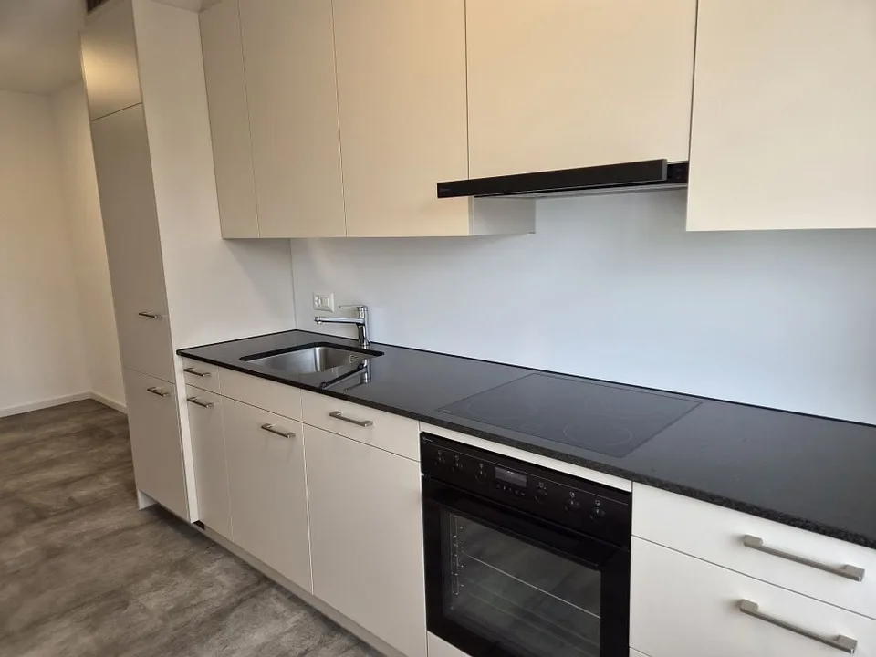 4 1/2-Zimmerwohnung, 3. Stock links