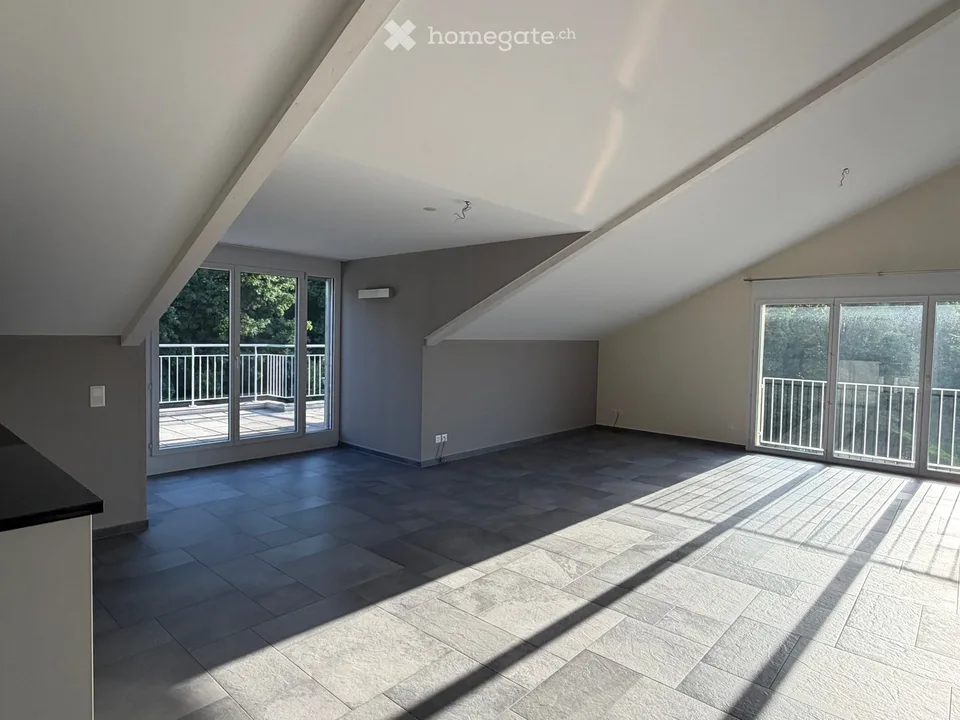 Exklusive 4.5-Zimmer-Dachwohnung mit 185 m² Wohnfläche, 48 m² Sonnenterrasse & direktem Liftzugang