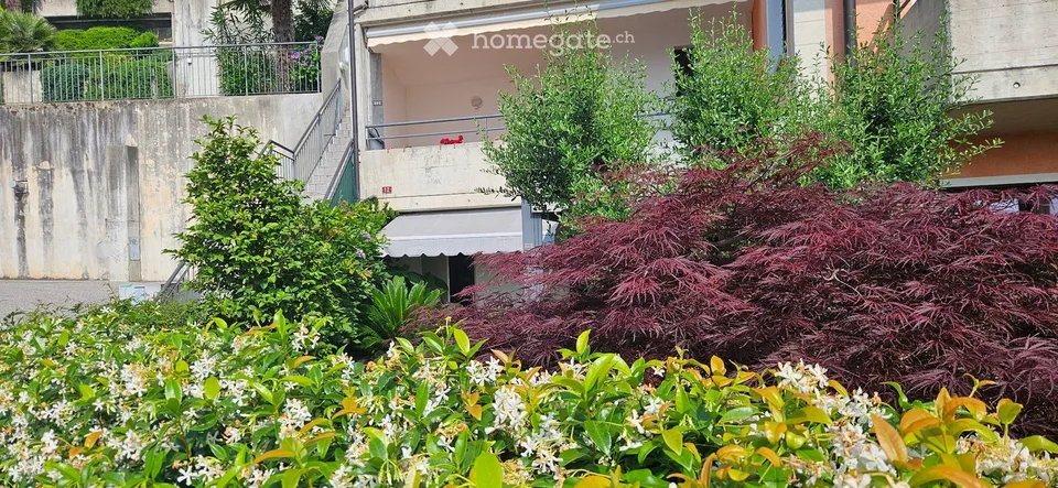 Appartement PPP mit Seeblick und Garten