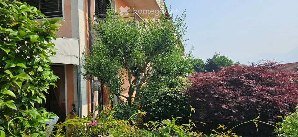 Appartement PPP mit Seeblick und Garten