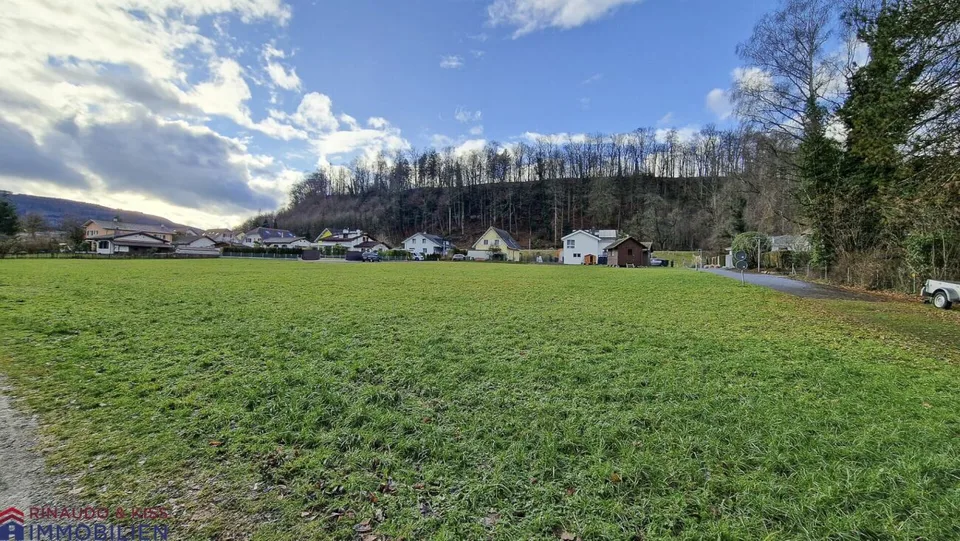 Terreno edificabile attraente (subdivisione possibile) - direttamente sul Reno con vista sul verde