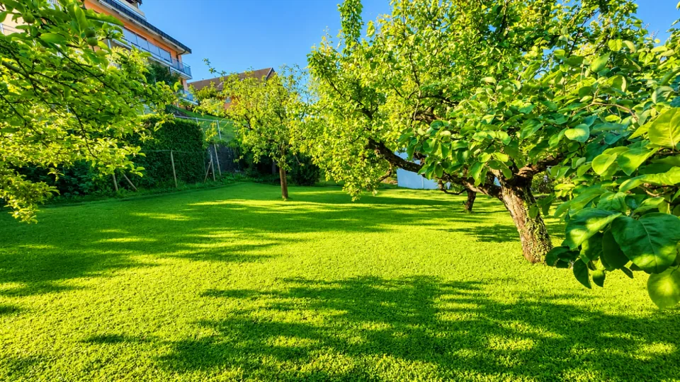 Villa individuelle de caractère avec deux spacieux appartements à proximité du centre-ville