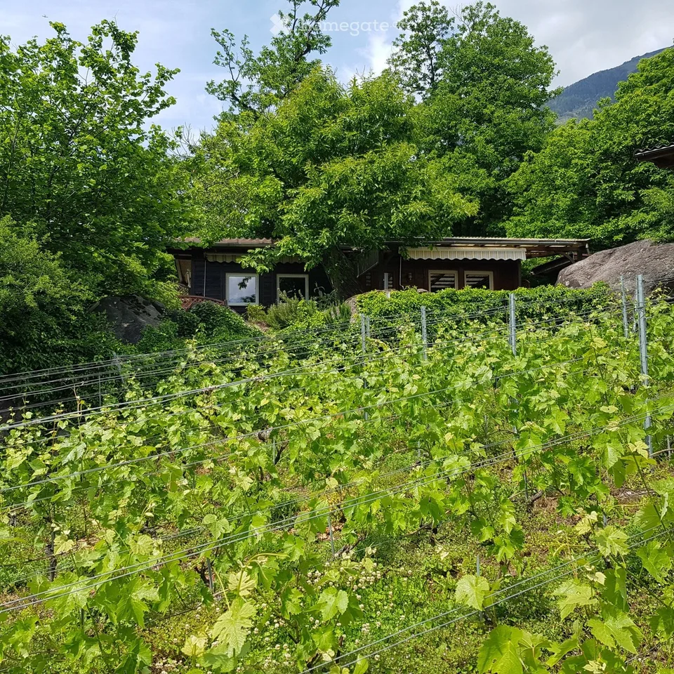 Chalet mobilhome