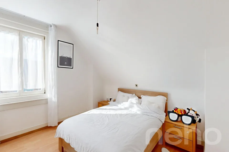 Grande demeure familiale de 2 appartements: 6,5 pièces + 3 pièces – photo 16 sur 20
