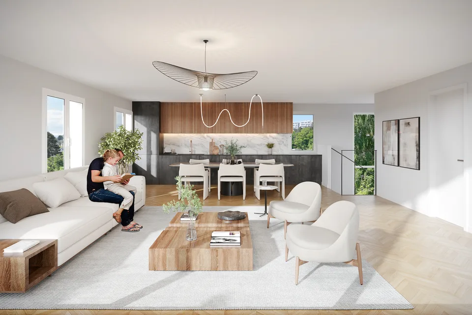 Magnifique duplex  en attique