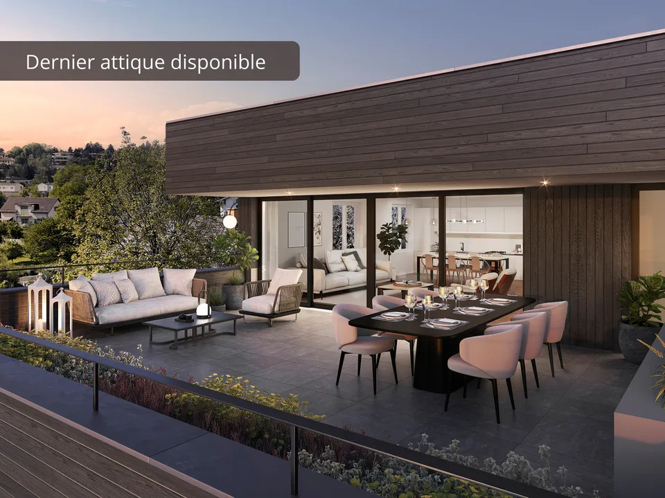 Magnifique duplex  en attique
