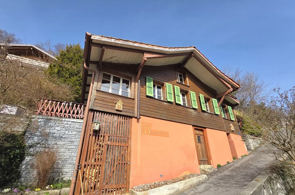 Chalet "Blumenberg" with lake view in Ringgenberg
