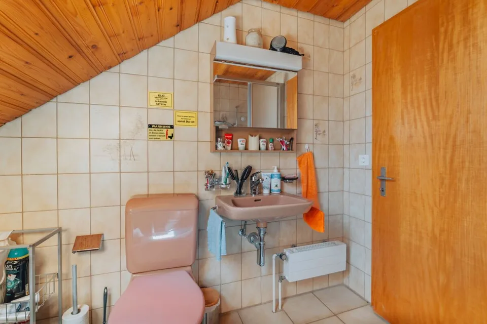3-Party MFH with many ancillary rooms + garages – photo 19 of 26