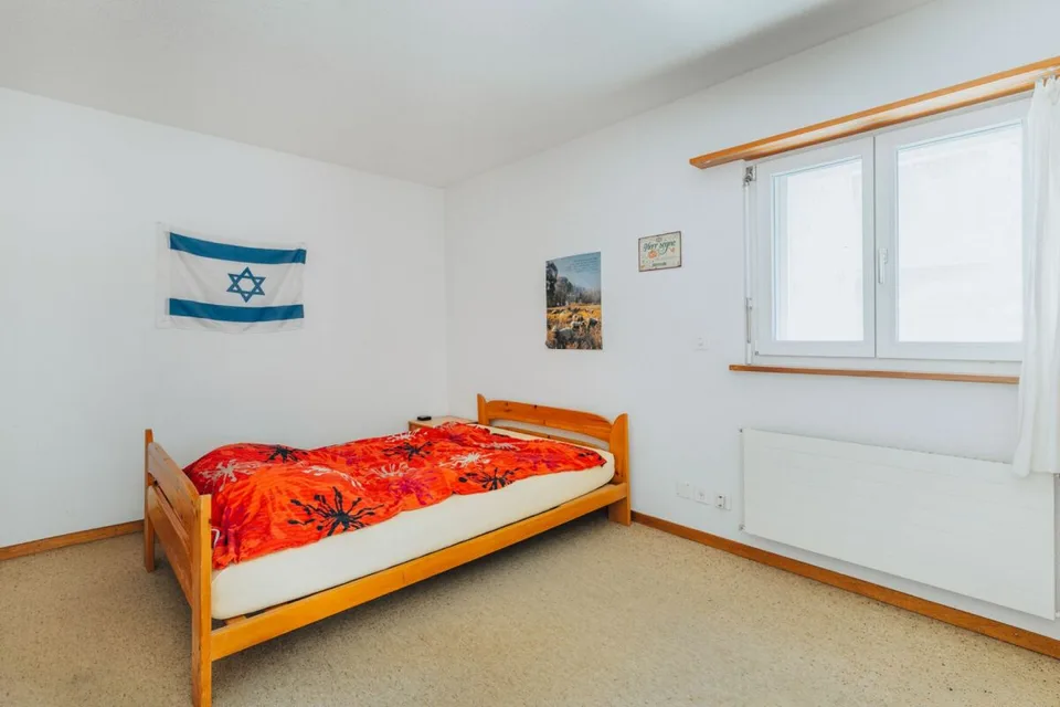 3-Party MFH with many ancillary rooms + garages – photo 22 of 26