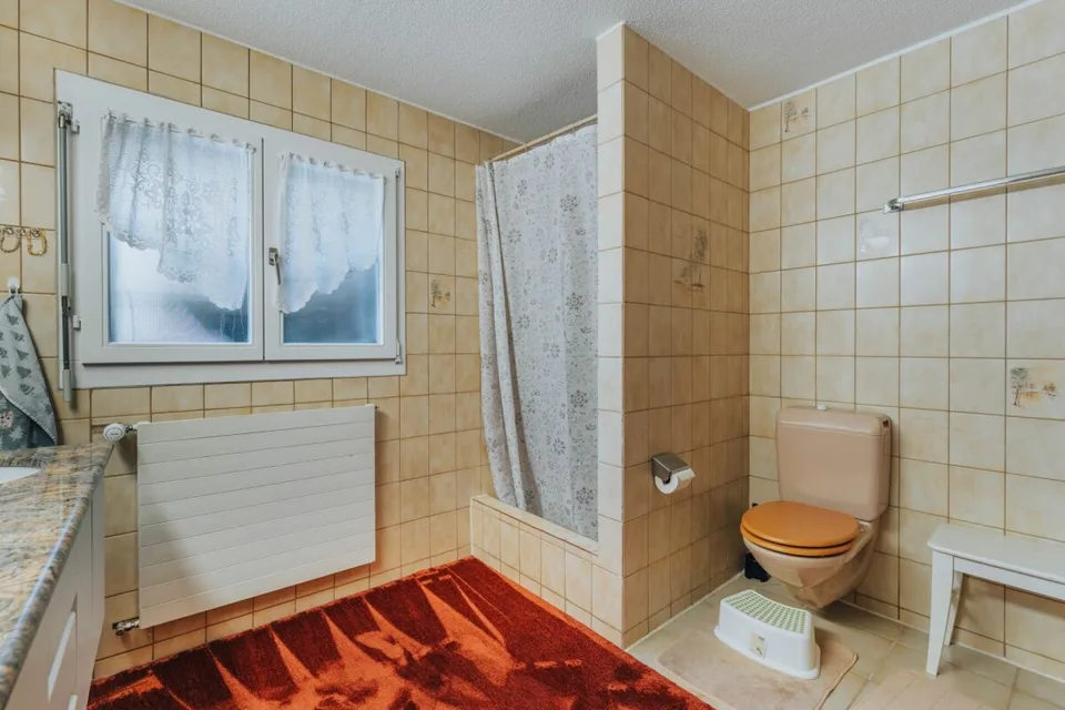 3-Party MFH with many ancillary rooms + garages – photo 12 of 26