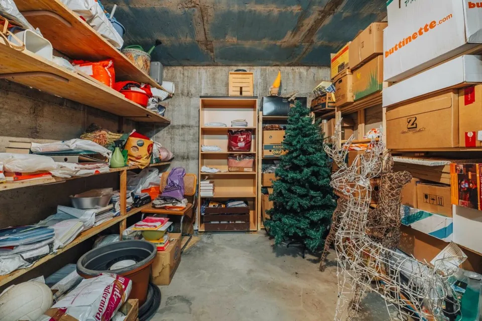 3-Party MFH with many ancillary rooms + garages – photo 25 of 26