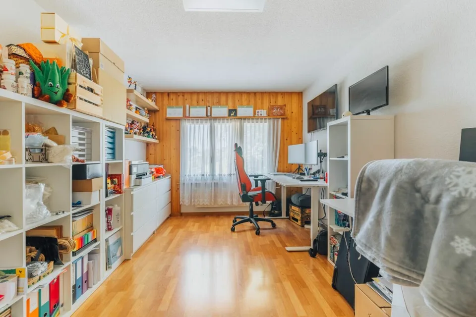 3-Party MFH with many ancillary rooms + garages – photo 10 of 26