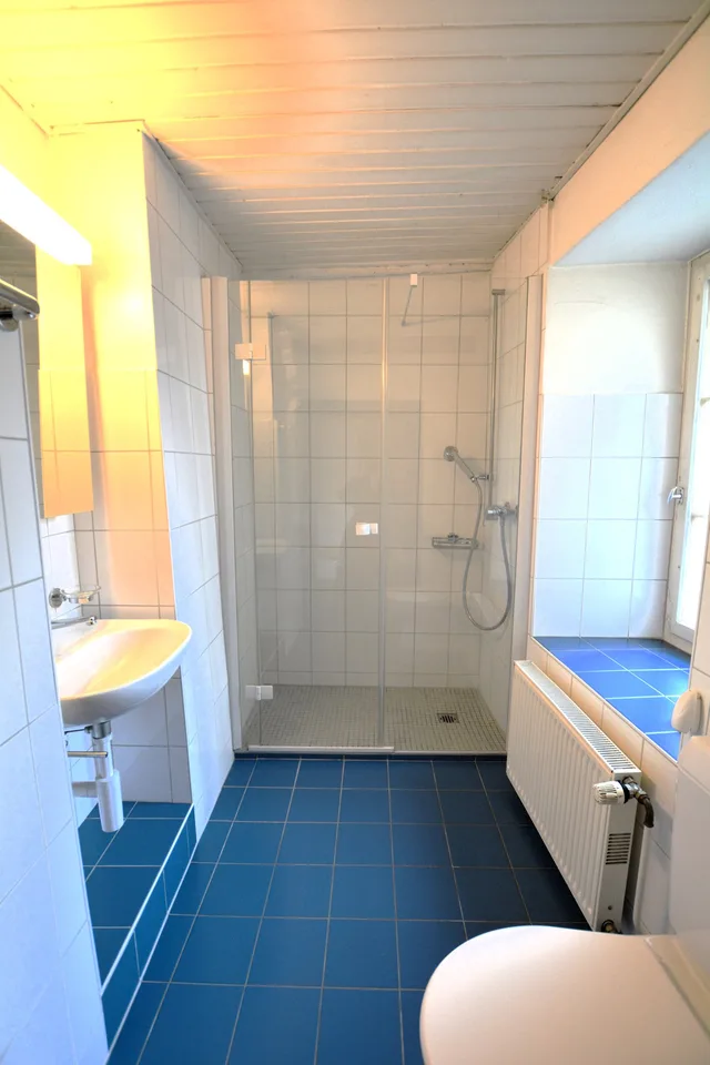 Rental property in Porrentruy – photo 10 of 19