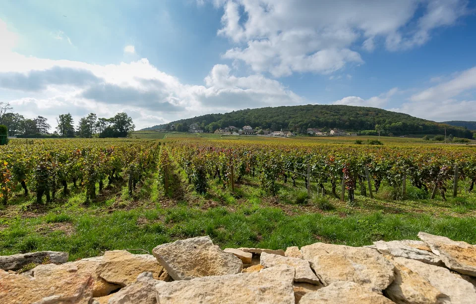 Historisches Privatanwesen im Herzen von Gevrey Chambertin, Burgund – Foto 7 von 25
